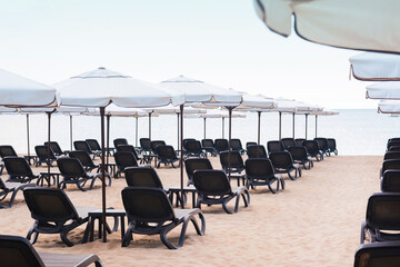 Many beautiful white umbrellas and black sunbeds on beach
