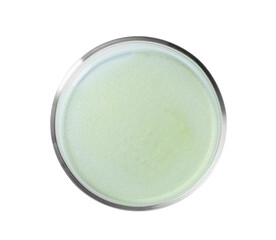 Petri dish with green liquid isolated on white, top view