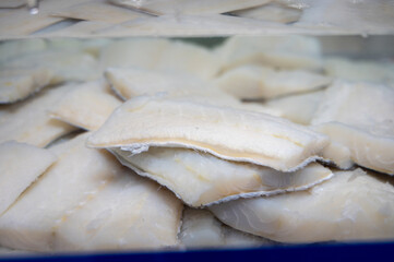 White salted and dried bacalao codfish is watertank, traditional Spanish food on display in fish shop