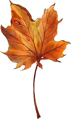 Watercolor Autumn Leaf