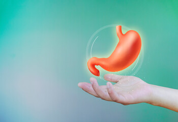 Human stomach isolated on light green background. Medical attention for stomach problems. stomach...