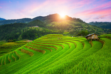 Vietnamese rijstvelden zijn seizoensgebonden omdat ze zijn geplant op groene bergen en zonsonderganghemel