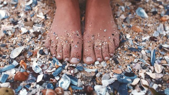 Woman feet in sand with sea shell on the beach during summer vacation. Person toes, pedicure and skin on the ocean shore with sandy foot while relax on the weekend or travel holiday in nature