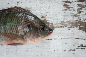 Raw nile tilapia fish, on wood