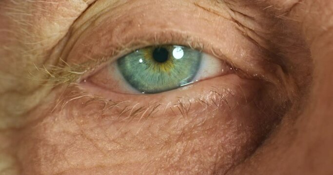 Senior eye, vision and medical eye exam with light reflection and zoom detail. Humanity, awareness and healthcare wellness of a elderly person with iris and cornea anatomy for optometry exam