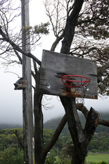 Abandoned basketball hoop © SandroRossiImagery