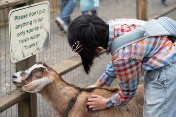 ヤギ　ふれあい動物園　農場　ファーム　子ども　休日　楽しい　嬉しい　動物　小学生　少年　少女