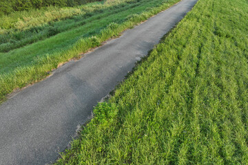 Naklejka premium Top view of trail in green grass