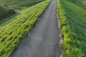 Naklejka premium Top view of trail in green grass