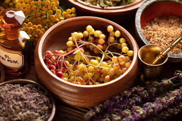 Natural medicine background. Assorted dry herbs in bowls, mortar and plants on rustic wooden table.