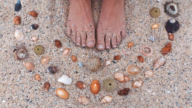 Woman feet on the sand with sea shells at the beach in a circle pattern during a summer holiday. Sandy girl toes with a pedicure moving in nature by ocean or seashore while on adventure or vacation.
