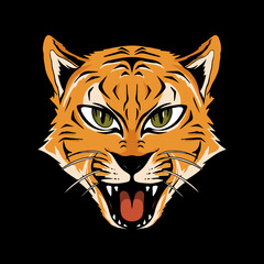 vector illustration tiger isolated white background