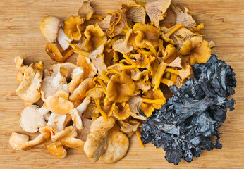 Wild edible mushroom harvest on a cutting board