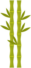 Green bamboo sticks with leaves