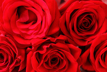 Bouquet of red roses close-up, natural textures and background.