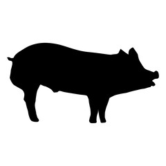 pig animal silhouette