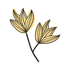 autumn foliage leaves summer 