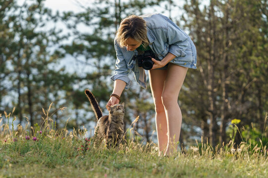 Young woman holding photo camera plays with domestic cat getting lost on empty forest glade. Female photographer with long bare legs wants to make picture of lovely animal against blurry green trees