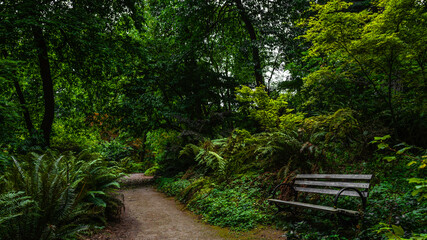 Autumn landscape with curved footpath and a wooden bench in Washington Park Arboretum in Washington State