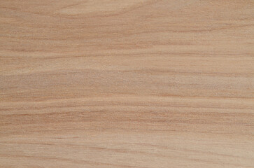 Wood texture. Lining boards wall. Wooden background. pattern. Showing growth rings