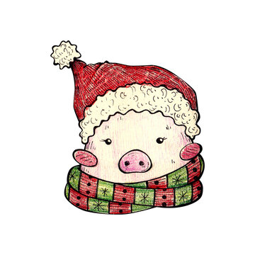 pig in Santa's hat. doodle drawing with watercolor pencils. for printing postcards, stickers, prints, posters. children's book illustration.