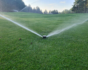 Irrigation system golf course. Water sprinkler irrigation of green grass field