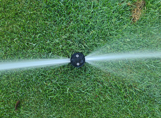 Automatic garden lawn sprinkler in action for watering grass - obrazy, fototapety, plakaty