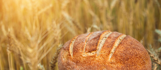 Close-up female hand holding fresh baked on wheat field background. Loaf of bread on farmer's palm....