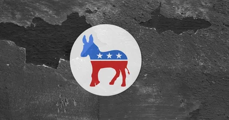Photo sur Plexiglas Âne Composition of us democrat party donkey design in red and blue with stars on concrete texture