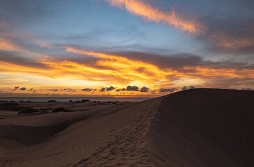 Naklejka na ściany i meble Maspalomas Dunes photographed at sunrise golden hour. Gran Canaria, Spain
