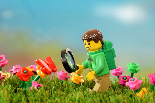 Lego minifigure happy cute boy with glass on grass field or meadow with a red butterfly at springtime. Editorial illustrative image of travel and research.