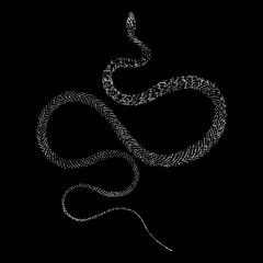 Red Racer Snake hand drawing vector illustration isolated on black background