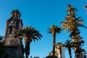 View on the church Nuestra Senora de la Pena de Francia in the city centre of Puerto de la Cruz, Tenerife, Canary Islands, Spain, Europe. The building is surrounded by high tropical palm trees