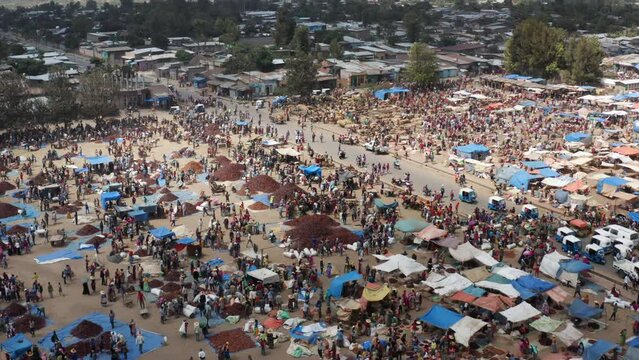 Huge Market Selling Paprika In Alaba Kulito, Ethiopia. - aerial