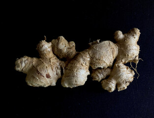 Ginger with the black background