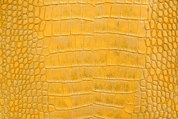 Crocodile bone skin texture background. Yellow Leather background and texture.