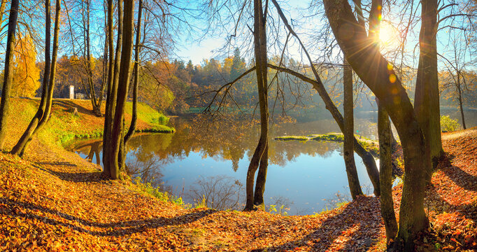 Sunny autumn scene with bare trees and clear blue sky.Beautiful october morning landscape with calm lake.