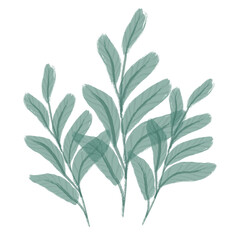 Fototapeta premium Delicate watercolor leaves and plants. Beautiful watercolor background with leaves. Wallpaper, templates with leaves. Watercolor branch with leaves. Illustration in watercolor style