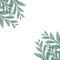 Fototapeta premium Delicate watercolor leaves and plants. Beautiful watercolor background with leaves. Wallpaper, templates with leaves. Watercolor branch with leaves. Illustration in watercolor style
