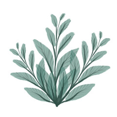 Delicate watercolor leaves and plants. Beautiful watercolor background with leaves. Wallpaper, templates with leaves. Watercolor branch with leaves. Illustration in watercolor style