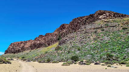 Panoramic view on Riscos de la Fortaleza near Pico del Teide, Mount El Teide National Park, Tenerife, Canary Islands, Spain, Europe. Hiking trail from El Portillo via La Canada de los Guancheros plain