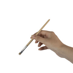 a brush in the female hand on a transparent background
