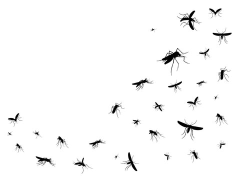 Isolated flying mosquitoes. Black silhouettes of vector pest insects swarm in air. Flock of gnats, malaria, dengue fever or zika virus infected mosquitoes, disease, virus and parasite carrier insects