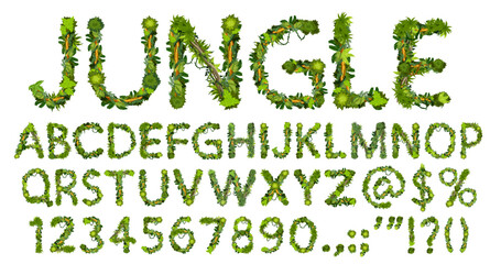 Cartoon jungle lianas font, typeface, type alphabet. Vector abc uppercase letters, digits and punctuation signs. English or latin symbols of green palm tree leaves and branches, isolated typeset