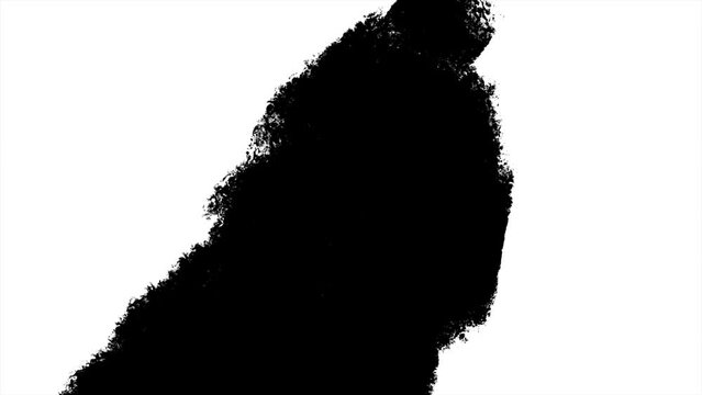 Paint brush transition Fast Abstract stroke black and white background, animation of paint splash. Brush stroke black and white transition background