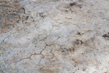 Abstract shape background of cracks on the floor made of cement