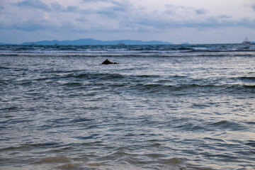 Obraz premium Sea water background with small waves on the beach