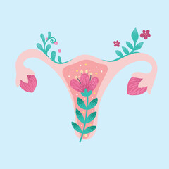 Female reproductive system. Anatomical vector illustration for gynecology clinic promotional materials. Flowers symbolize fertility