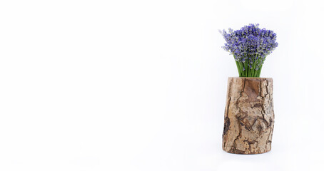 Bouquet of lavender flowers in a vase. On a white background. Isolated.