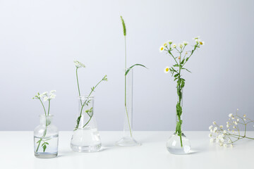 Laboratory glassware with flowers on white table